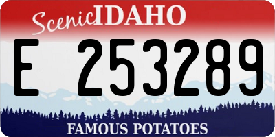 ID license plate E253289