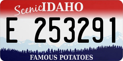 ID license plate E253291