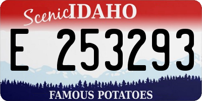 ID license plate E253293