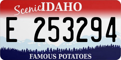 ID license plate E253294