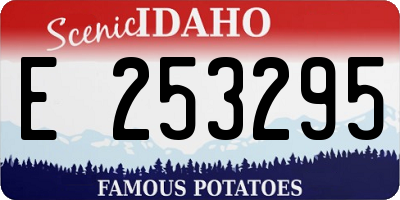 ID license plate E253295