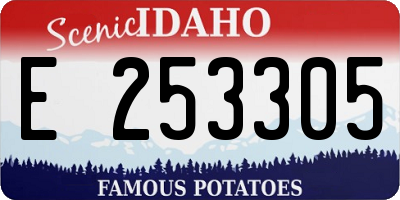 ID license plate E253305
