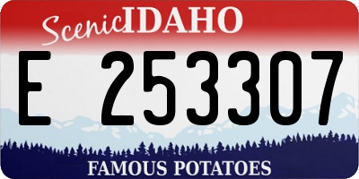 ID license plate E253307