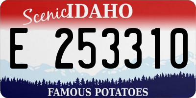 ID license plate E253310