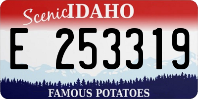 ID license plate E253319