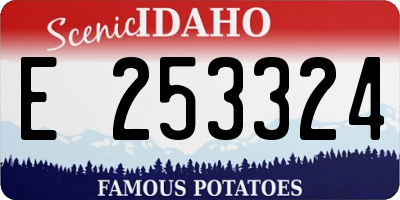 ID license plate E253324