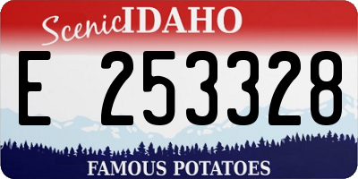 ID license plate E253328