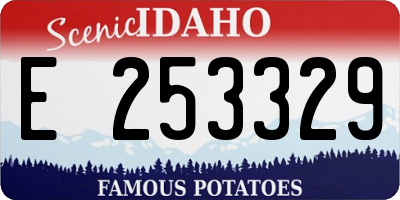 ID license plate E253329