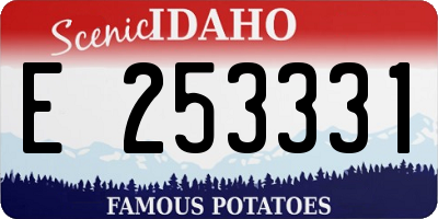 ID license plate E253331