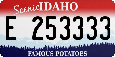 ID license plate E253333