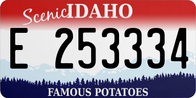 ID license plate E253334