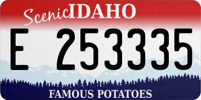 ID license plate E253335