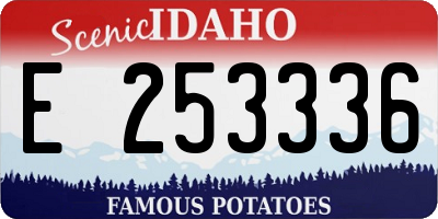 ID license plate E253336