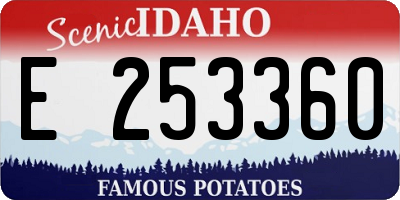 ID license plate E253360