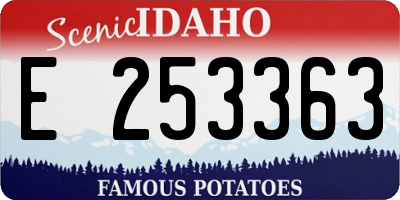 ID license plate E253363