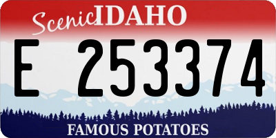 ID license plate E253374