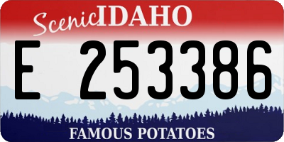 ID license plate E253386