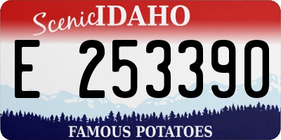 ID license plate E253390