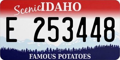 ID license plate E253448