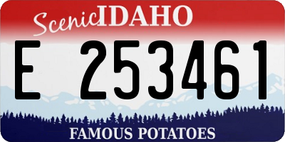 ID license plate E253461