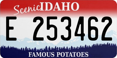 ID license plate E253462