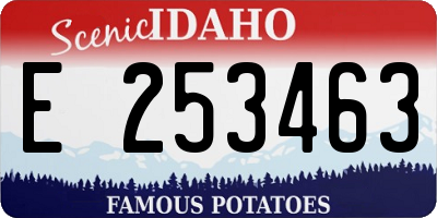 ID license plate E253463