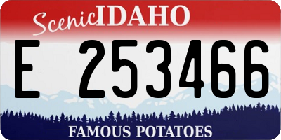 ID license plate E253466