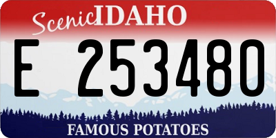 ID license plate E253480
