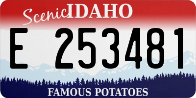 ID license plate E253481