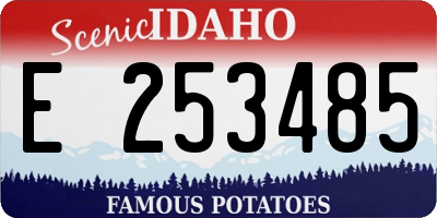 ID license plate E253485