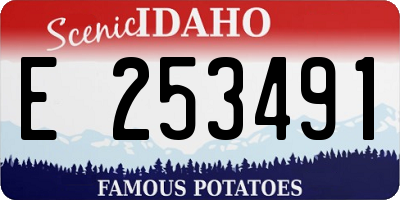 ID license plate E253491