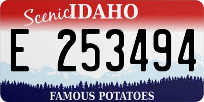 ID license plate E253494