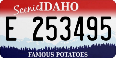 ID license plate E253495