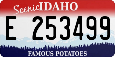 ID license plate E253499