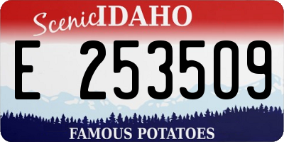 ID license plate E253509