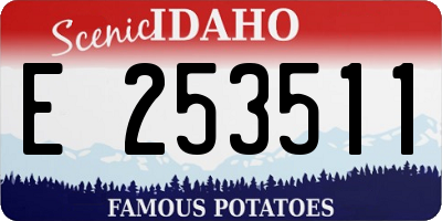 ID license plate E253511
