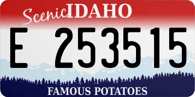 ID license plate E253515