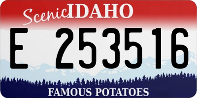 ID license plate E253516