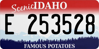 ID license plate E253528