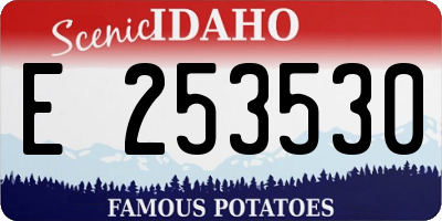 ID license plate E253530