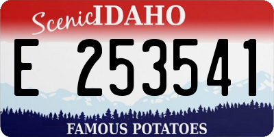 ID license plate E253541