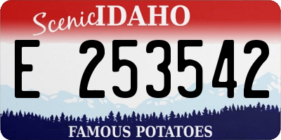 ID license plate E253542