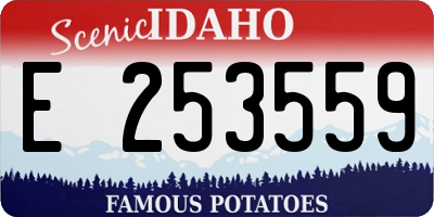 ID license plate E253559