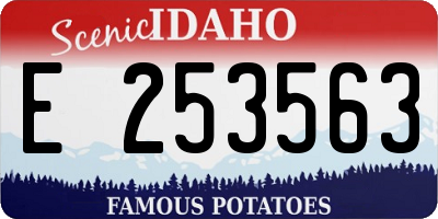 ID license plate E253563