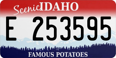 ID license plate E253595