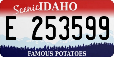 ID license plate E253599