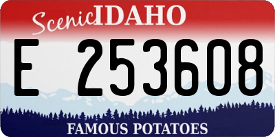 ID license plate E253608