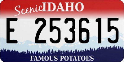 ID license plate E253615