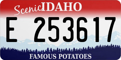 ID license plate E253617