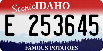 ID license plate E253645